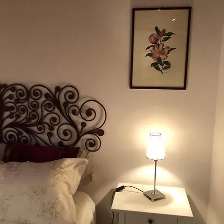 Vila 225