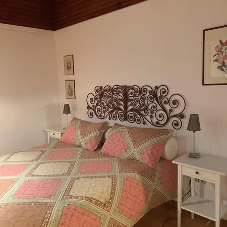 225 * Bracciano (Forli-Cesena)