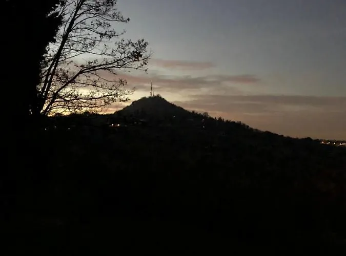 فيلة 225