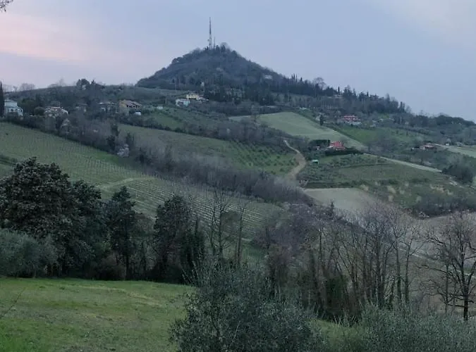 225 Bracciano (Forli-Cesena)