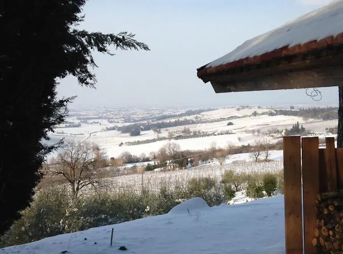 225 Bracciano (Forli-Cesena)